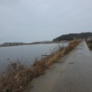 뚝방흑염소 이미지