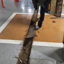 (주)라움디자인 이미지