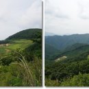 봉의농장 이미지