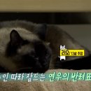 엠연우