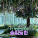 서천 가볼만한곳 실내 전시관 추천, 송림동화 무료 전시 후기