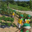 인동36길-23 네이버블로그