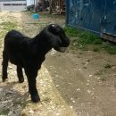 승희농장 이미지