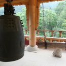 상원사 동종 이미지