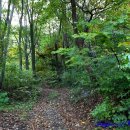 언덕나무펜션 이미지