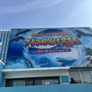 씨월드 | [거제도 여행]거제씨월드 벨루가 6개월 아기 관람 방문후기｜아기랑 여행코스 추천🐬