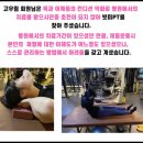 빗미PT | 빗미PT홍대점, 평점 4.9점를 받을 수 있었던 이유