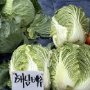 믿을마트 이미지