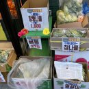 늘푸른야채 이미지