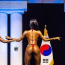 원모어짐 이미지