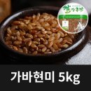흙애서 이미지