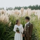 미드메농장 | 제주도 웨딩스냅촬영#2 :: 제주 스냅 양승준 작가님