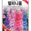 레드러시안 델피늄 공작초 1분 이미지