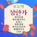 (주)녹십자웰빙 이미지