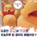 [창원 상남동] 육회가 서비스로 나오는 고깃집! 분위기 좋은 야끼니꾸 맛집 : 모토이시
