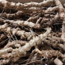 나무뿌리한의원 이미지