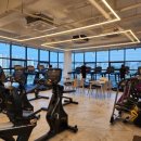 시카고짐 | D3. 천안 청당동 헬스장 '시카고짐'에서 다이어트 시작! 👟