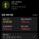 핑크타이거 이미지