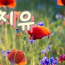 꿈꾸는 고래 도서관 이미지