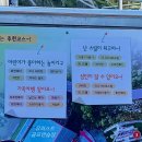 지에스25 여수여양점 | [여수 놀거리 추천] 여수 유월드 루지 테마파크 플렉스 콤보 솔직후기 (시간대 및 동선 추천)