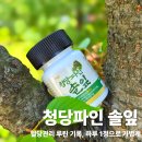 솔잎 | 식후 졸림 때문에 시작한 청당파인 솔잎 혈당관리 후기