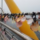 괴발개발 이미지