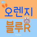 재미진365