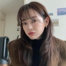 할스타일 이미지