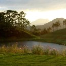 뉴스프링빌2 이미지