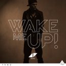Avicii Feat. Aloe Blacc - Wake Me Up! (Lyrics Version) 이미지