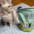 돈내고 돈먹는집 | 고양이 대용량 츄르 맛집 “벤티츄” 집사가 돈내고 고양이가 말아주는 리뷰