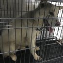 덕지천로 이미지