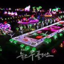 태안나비 이미지