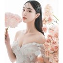 노바 벨리타 이미지