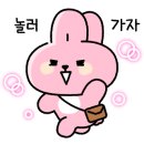 둥지별곡 이미지