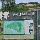 용궐산 둘레길& 체계산출렁다리 이미지