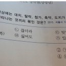 와우제 이미지