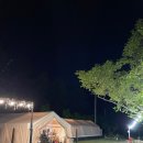 구정중앙로 이미지