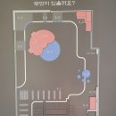 댕댕클라스 이미지