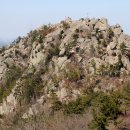 봄 마중(해남/목포 - 금굴산, 운거산, 유달산) 이미지