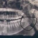 파리바게뜨부천심곡본동점 이미지