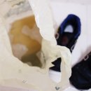 명성운동화세탁 이미지