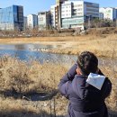 새오리330 이미지