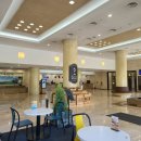 스위트펫 이미지