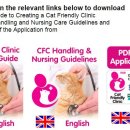 이진수고양이병원 이미지