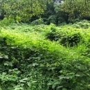 답동보건진료소 이미지