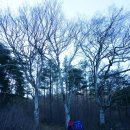 덕두산 Daum카페