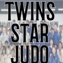 트윈스스타유도