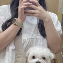 눈이튼튼 동물병원 이미지