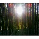 척과천자전거길 이미지